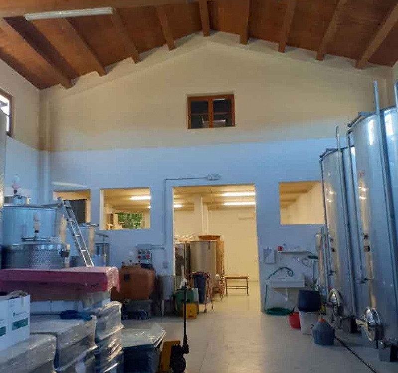Arezzo, Italia, ,1 BagnoBagno,Cantina,Tenute Agricole Vinicole,1095